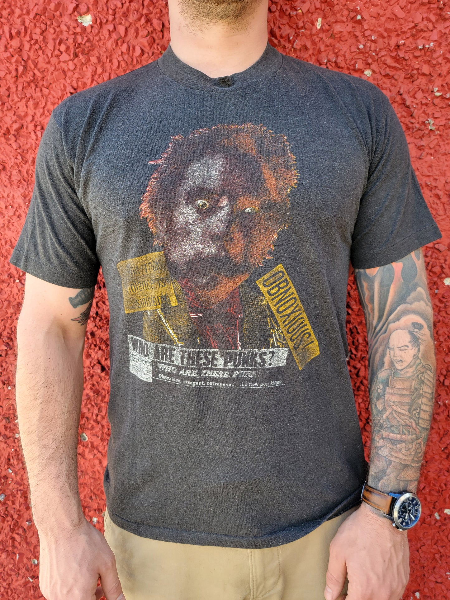 Johnny Rotten, Who Are These Punks?